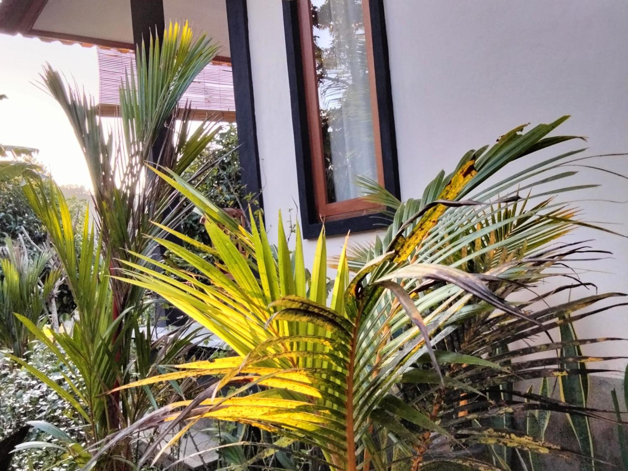 Buntera Homestay Sidemen Exterior photo
