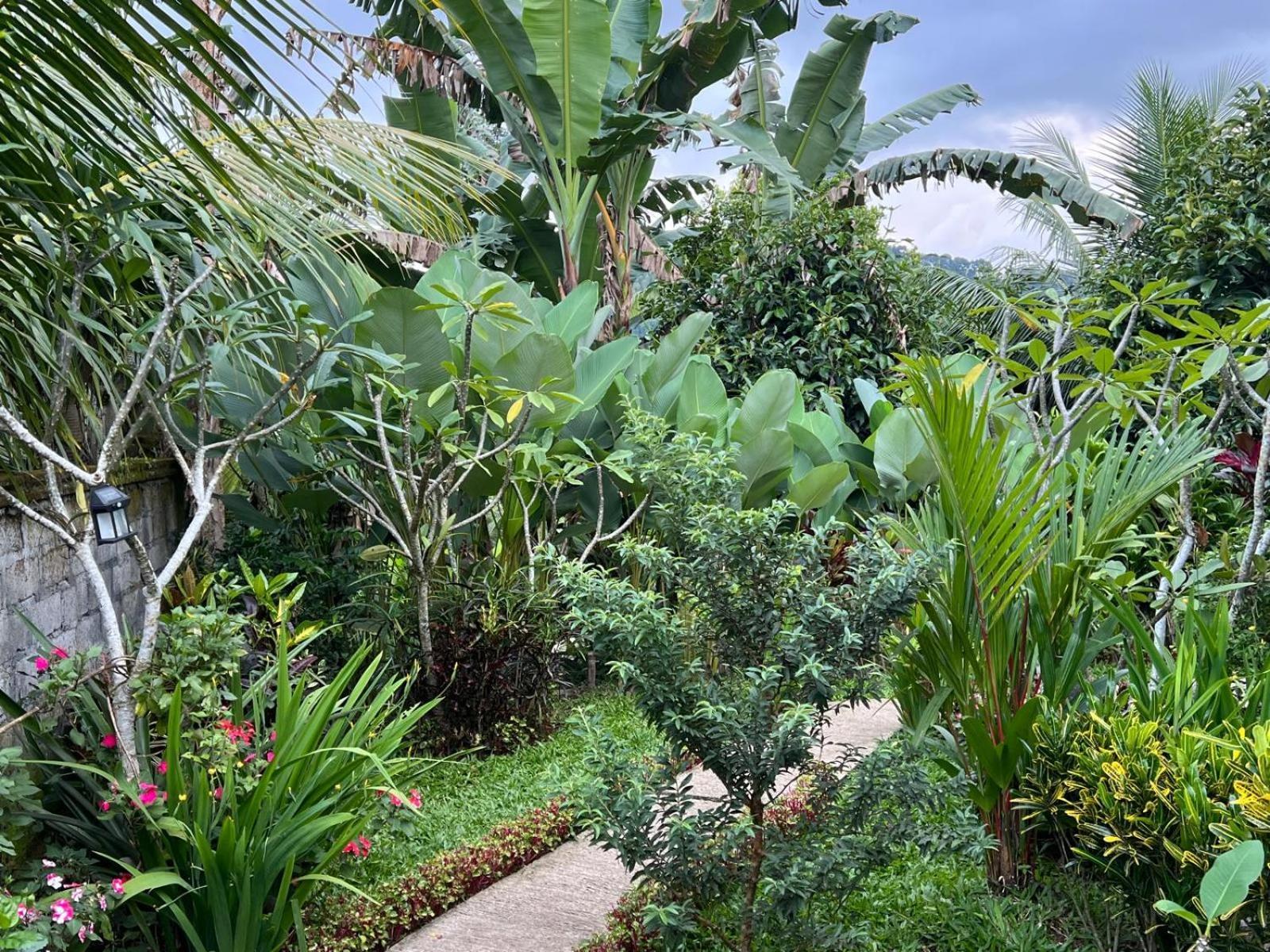 Buntera Homestay Sidemen Exterior photo